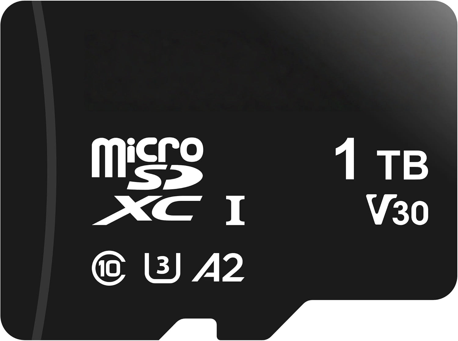 WiiHood MicroSDXC Memory Card with Full Size Adapter, A2, U3, Read Speed up to 100 MB/s, 1 Tb, Black